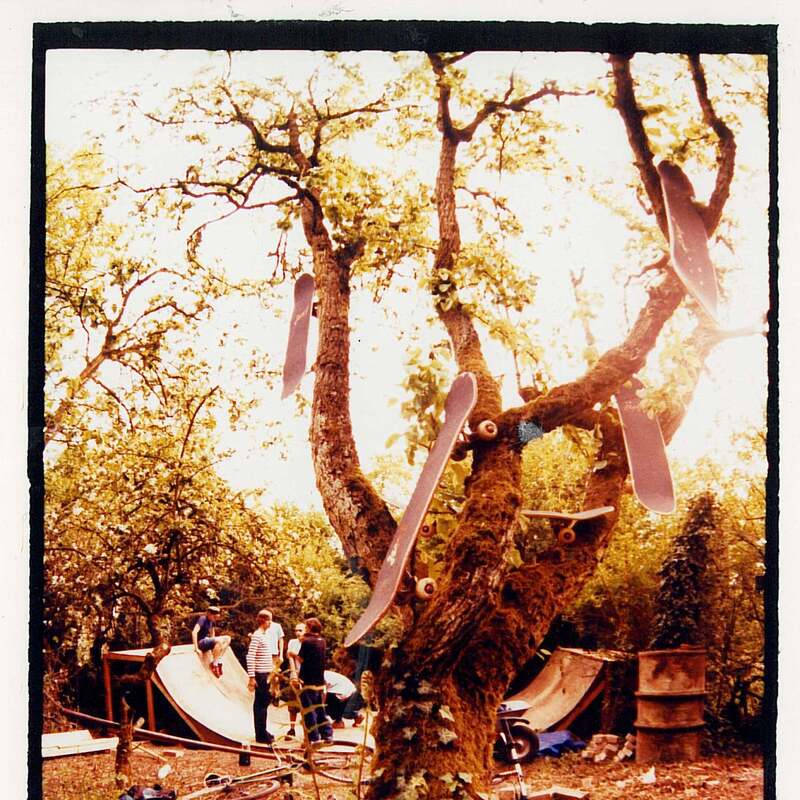 Rollbrett-Baum

Ramersdorf

Schrebergarten

Marcel Michel