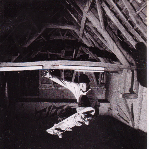 Hansi

Fetter FS Stalefish

Scheune 2002